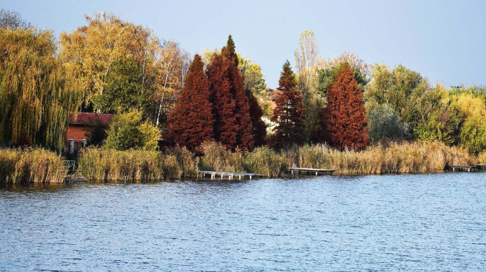 Zeleni Srbije: Potrebna energičnija borba za čistiju zemlju 1