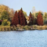 Zeleni Srbije: Potrebna energičnija borba za čistiju zemlju 3