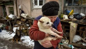 Šta Ukrajinci misle o mirovnom procesu 1