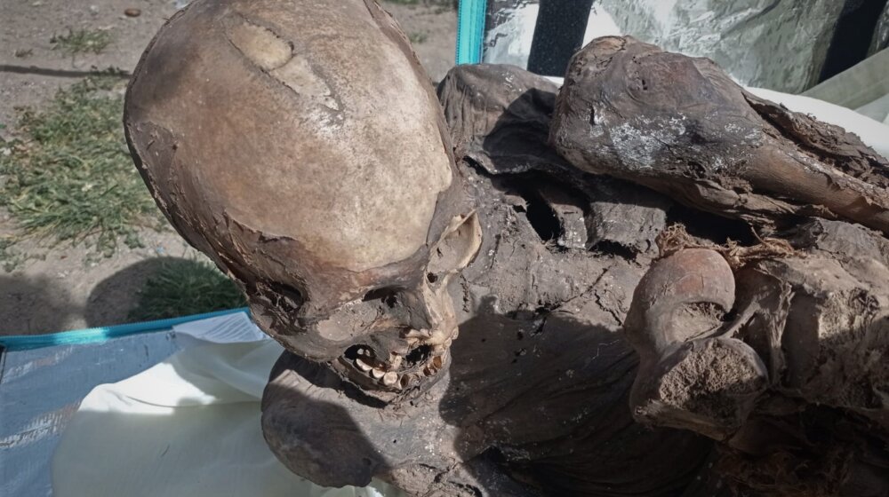 U Peruu mumija stara od 600 do 800 godina otkrivena u frižider-torbi dostavljača hrane 1