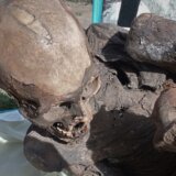 U Peruu mumija stara od 600 do 800 godina otkrivena u frižider-torbi dostavljača hrane 6