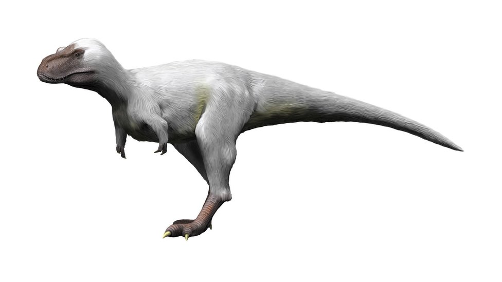 Nanuqsaurus, standing on hind legs and portrayed as having a light-coloured covering