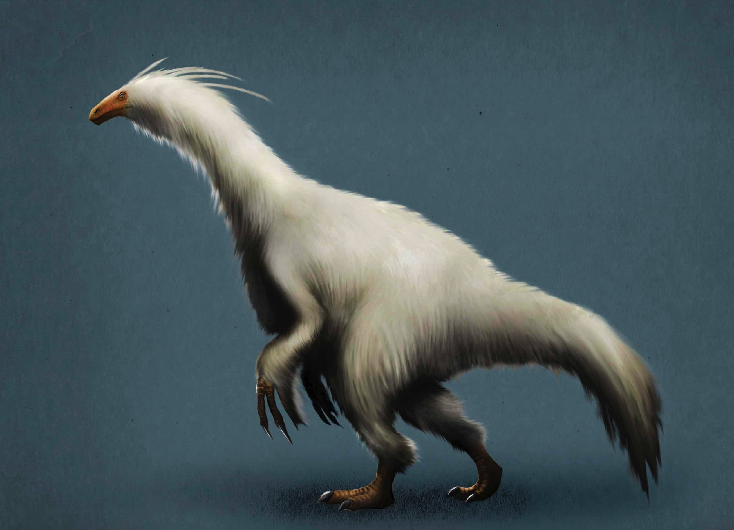 Illustration of an Therizinosaurus , a dinosaur standing on rear legs with a yellow beak-like face and white downy feathers covering its body