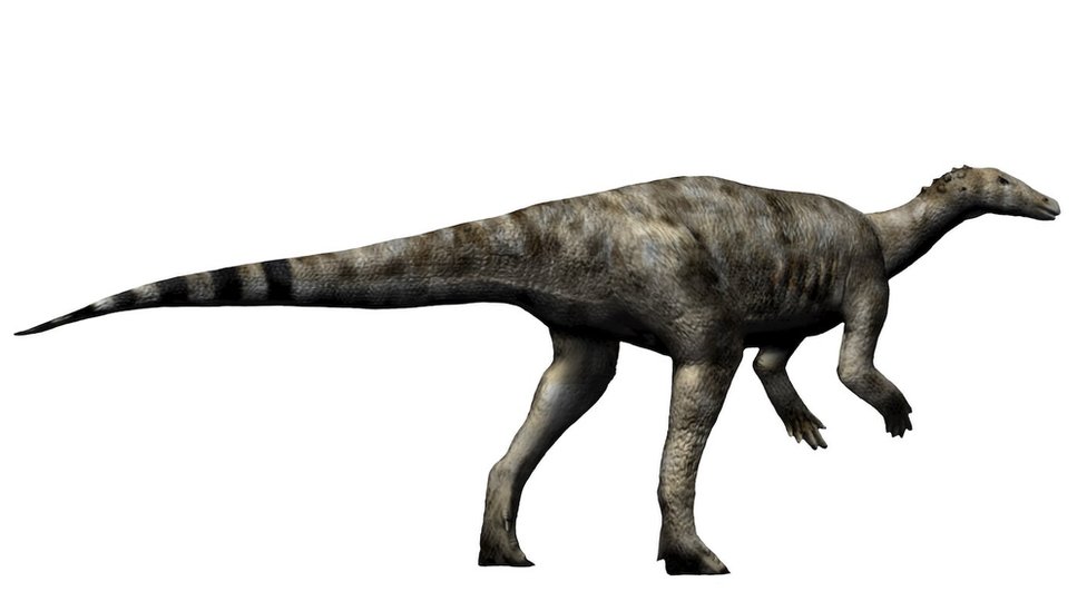 Thescelosaurus dinosaur
