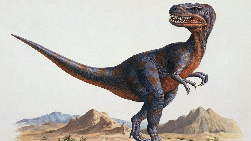 The alectrosaurus dinosaur walking on a landscape