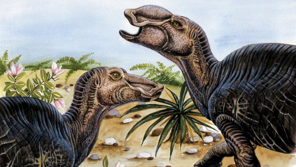Illustration of two edmontosaurus dinosaurs
