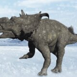 Dinosaurusi: Praistorijske životinje su živele na polarnom ledu i snegu, tvrde naučnici 6