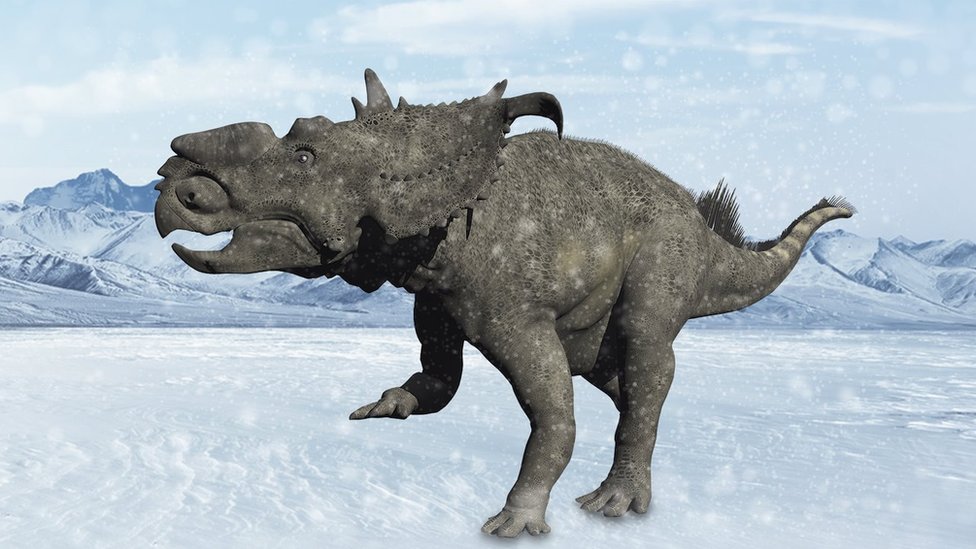 Illustration of a Pachyrhinosaurus standing in a sow-covered landscape