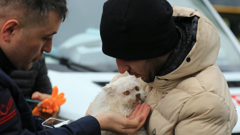 Turkish gendarmerie rescued a cat under rubble