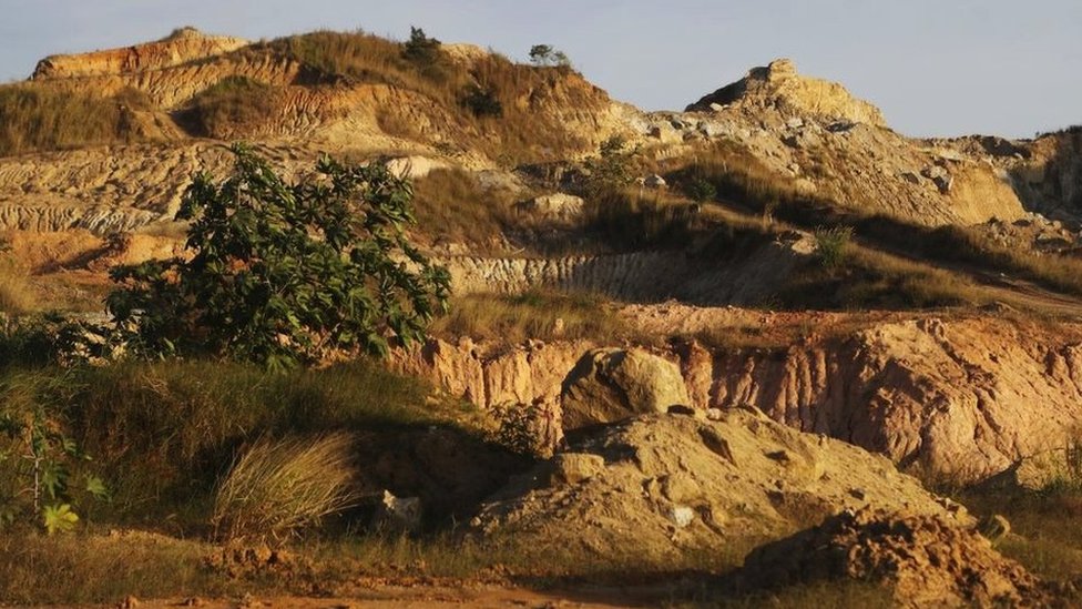 Zdravlje i Brazil: Misteriozna gljivica koja zabrinjava naučnike 3 Deforested area in the Rio de Janeiro state