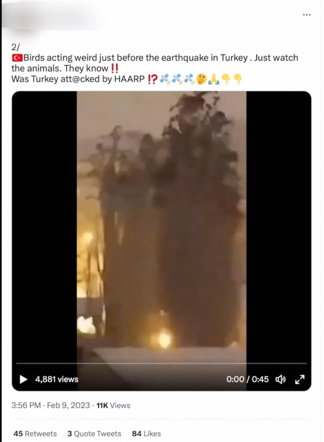 Screenshot of a tweet featuring a video of birds and falsely claiming that the animals were 'acting weird' before the earthquake and asking if Turkey 'was attacked by HAARP?'.