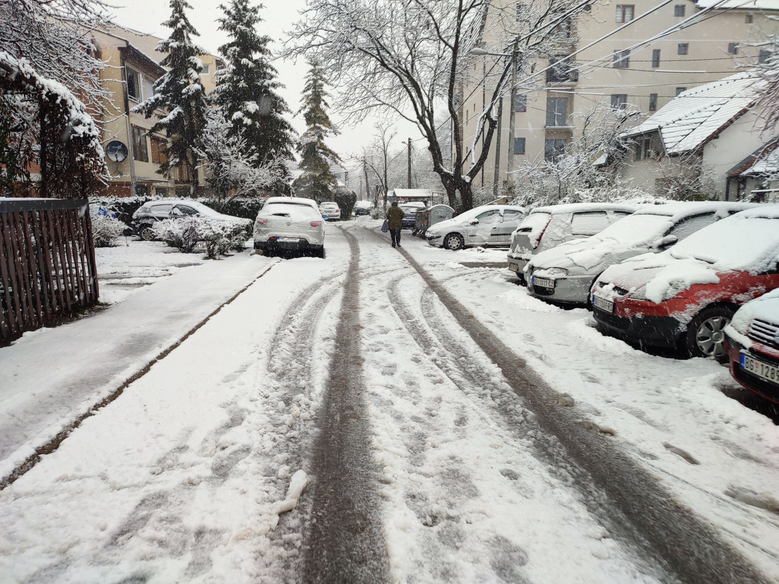 U Nišu 15 stepeni, u Beogradu pada sneg: U ovim mestima se očekuje veća količina padavina 2