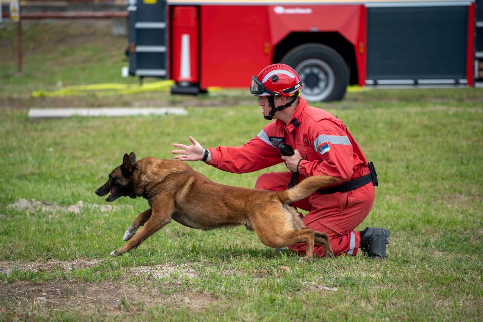 Kratkodlaki heroj: Ko je pas Zigi, koji je dosad spasio dva života u Turskoj? 3