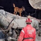 Pas Zigi sedmog dana od zemljotresa u Turskoj spasio još jedan život 5