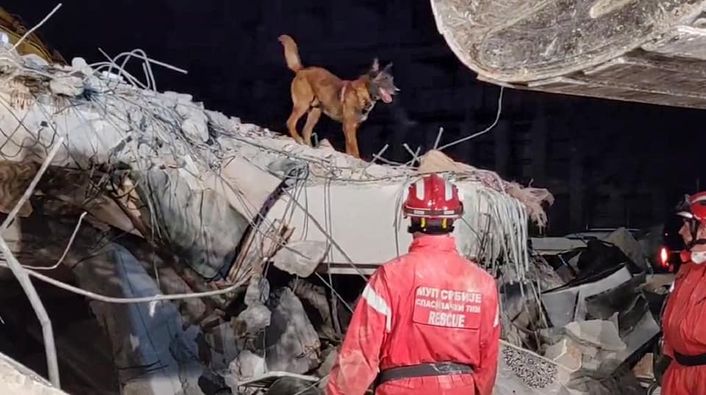 Pas Zigi sedmog dana od zemljotresa u Turskoj spasio još jedan život 1