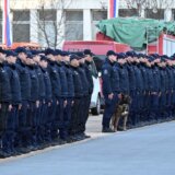 Spasilački tim MUP-a se vratio iz Turske: Kako je izgledao doček? (FOTO) 13