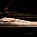 Pistaći, čempres i pčelinji vosak: Koji se sve sastojci kriju u drvenim egipatskim mumijama? 6
