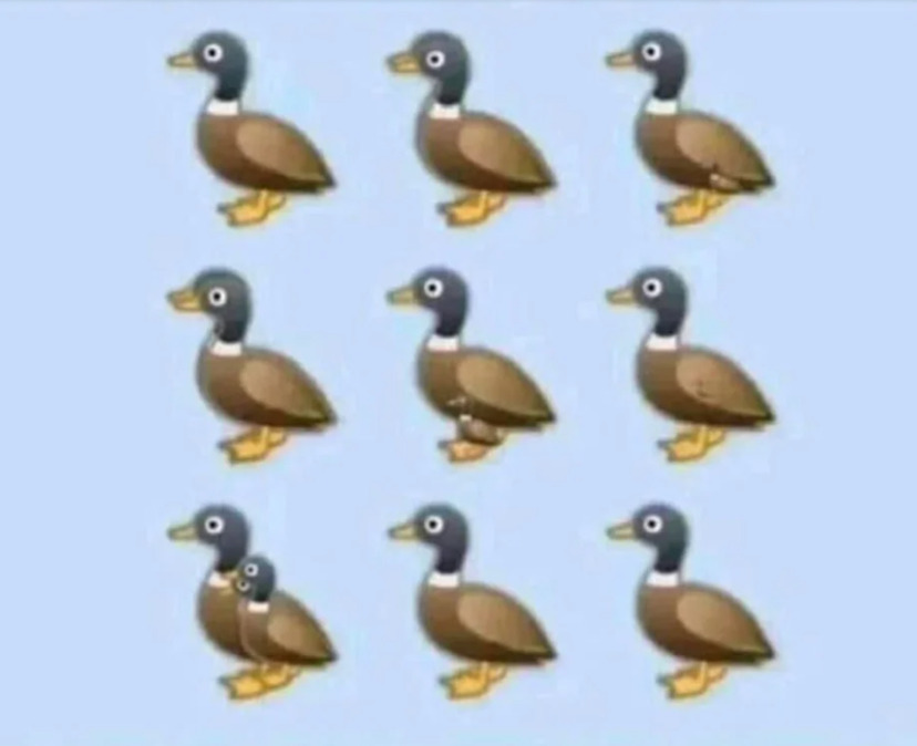 Da li možete da prebrojite sve patke na ilustraciji: Viralna zagonetka nimalo jednostavna kao što izgleda 2 Da li možete da prebrojite sve patke na ilustraciji: Viralna zagonetka nimalo jednostavna kao što izgleda 2