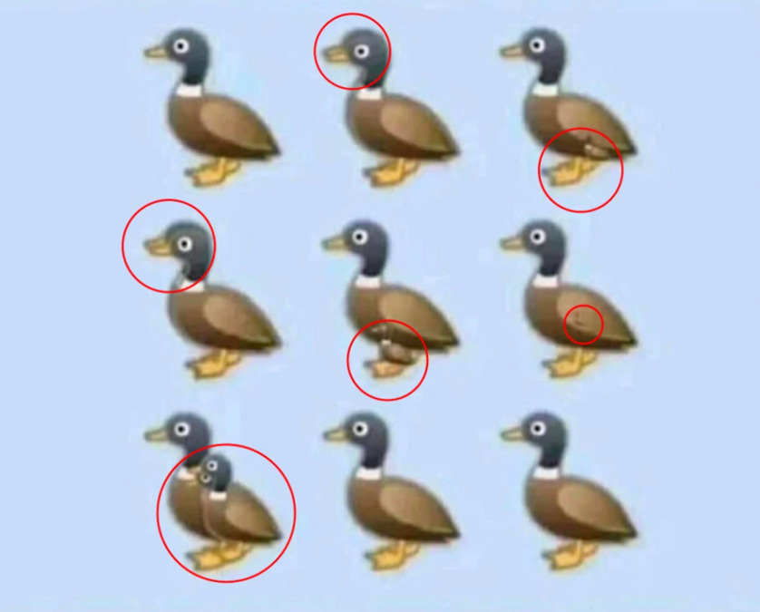 Da li možete da prebrojite sve patke na ilustraciji: Viralna zagonetka nimalo jednostavna kao što izgleda 3