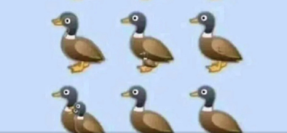 Da li možete da prebrojite sve patke na ilustraciji: Viralna zagonetka nimalo jednostavna kao što izgleda 1