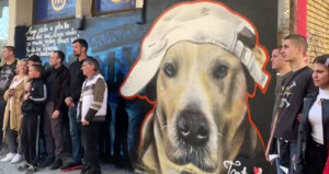 Baći dobio svoj mural u Užicu: Bio je omiljeni pas koga je neko otrovao pre desetak dana 3
