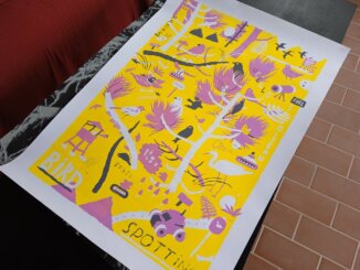 Novi kulturni prostor u Subotici “Želimo da izgradimo zajednicu i smanjimo otuđenje”: Novi kulturni prostor u Subotici spaja sve stanovnike grada 11