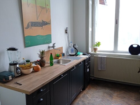 Novi kulturni prostor u Subotici “Želimo da izgradimo zajednicu i smanjimo otuđenje”: Novi kulturni prostor u Subotici spaja sve stanovnike grada 17