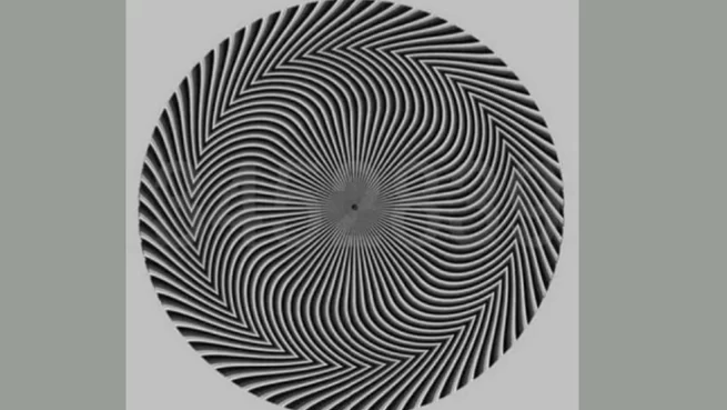 Ova optička iluzija je izludela ljude: Koliko vi brojeva vidite na slici 1