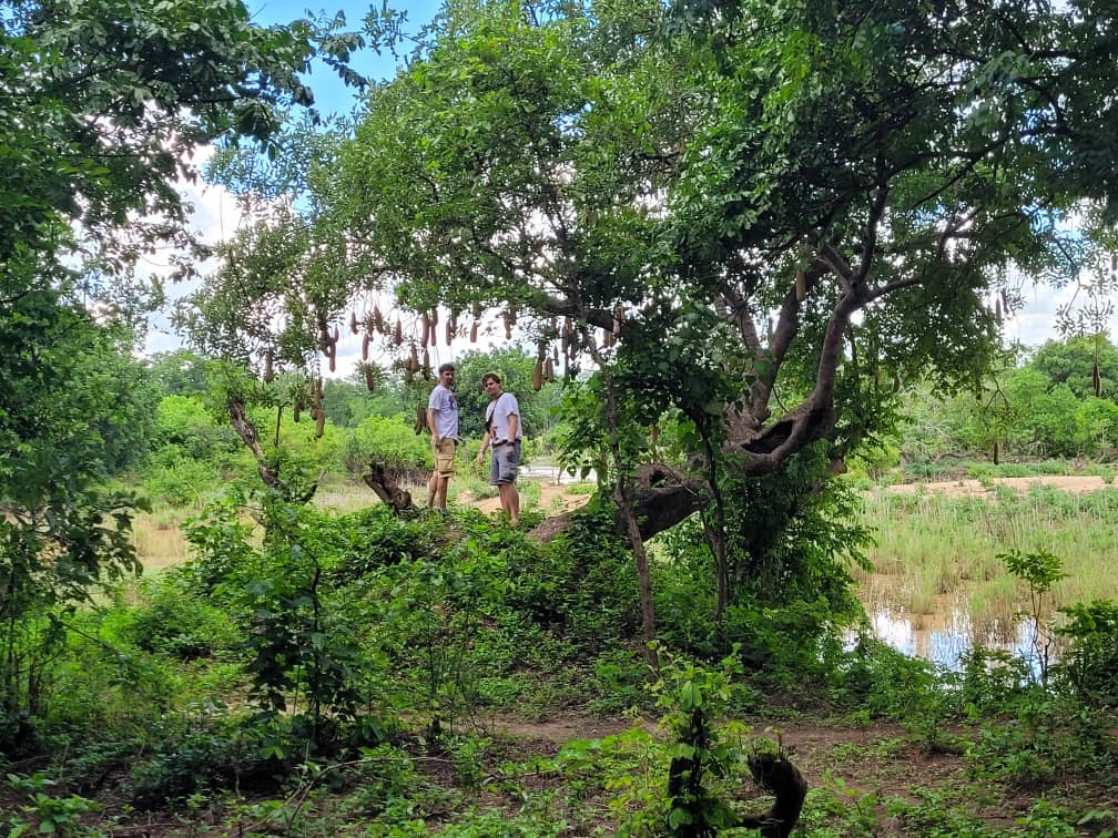 Šumadinac u Africi: Kragujevčanin Filip odlučio da mesec dana provede u Malaviju 3 Šumadinac u Africi: Kragujevčanin Filip odlučio da mesec dana provede u Malaviju 3