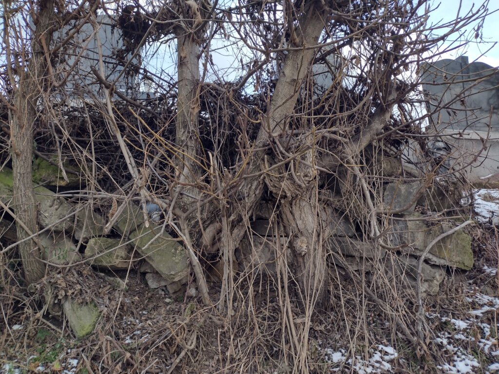 Zašto građani kragujevačkog naselja Petrovac strepe da će njihovo groblje da "otkliza" niz ulicu 4 Zašto građani kragujevačkog naselja Petrovac strepe da će njihovo groblje da "otkliza" niz ulicu 8