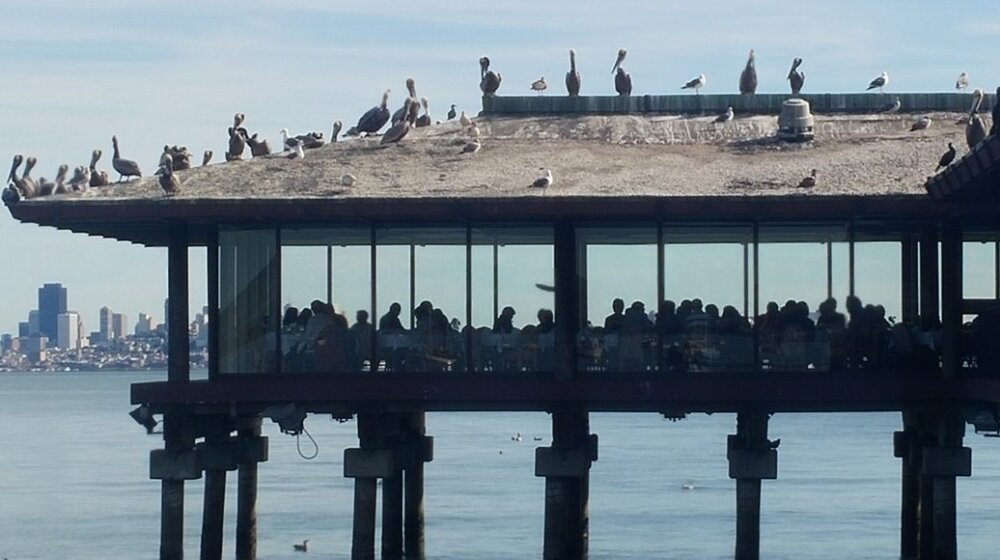 Beogradsko dramsko pozorište svečano obeležava 76. rođendan: Večeras premijera predstave "Idiot", u režiji Ivice Buljana 1