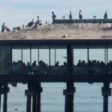 Beogradsko dramsko pozorište svečano obeležava 76. rođendan: Večeras premijera predstave "Idiot", u režiji Ivice Buljana 10