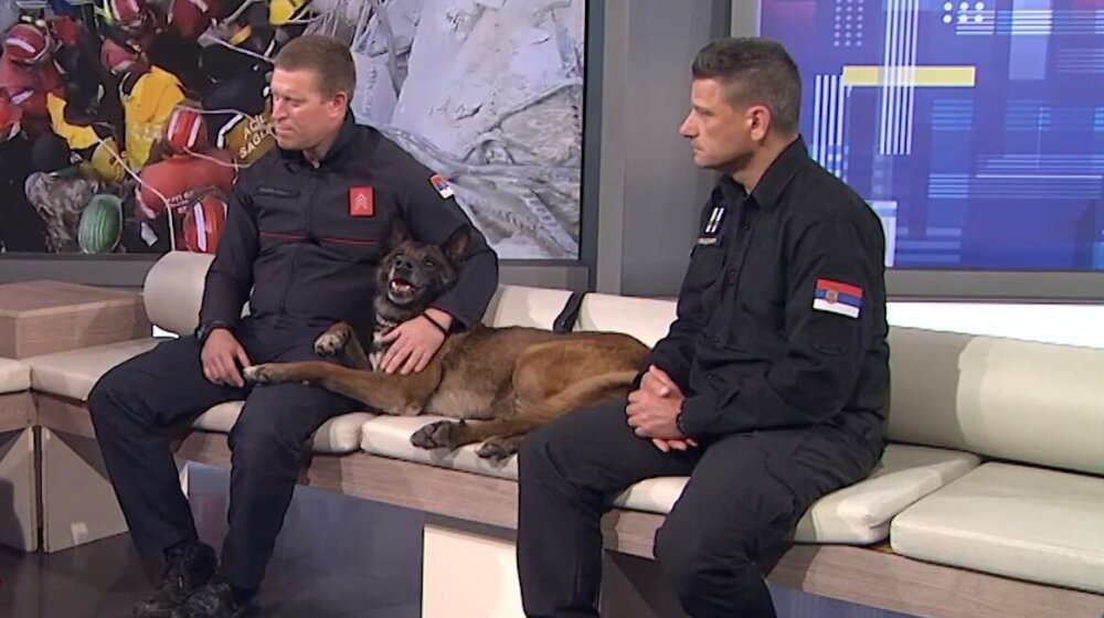 Spasioci nakon povratka iz Turske: Potraga za preživelima izgledala kao traganje za iglom u plastu sena 1