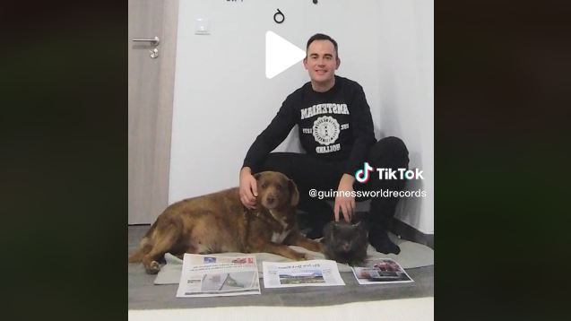 Bobi, najstariji pas na svetu