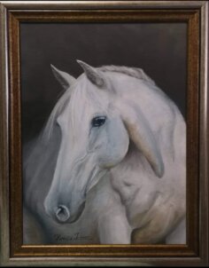 Sjajni slikarski talenat budućeg veterinara: Ivan (15) iz Subotice otkriva da su mu posebna inspiracija konji 2
