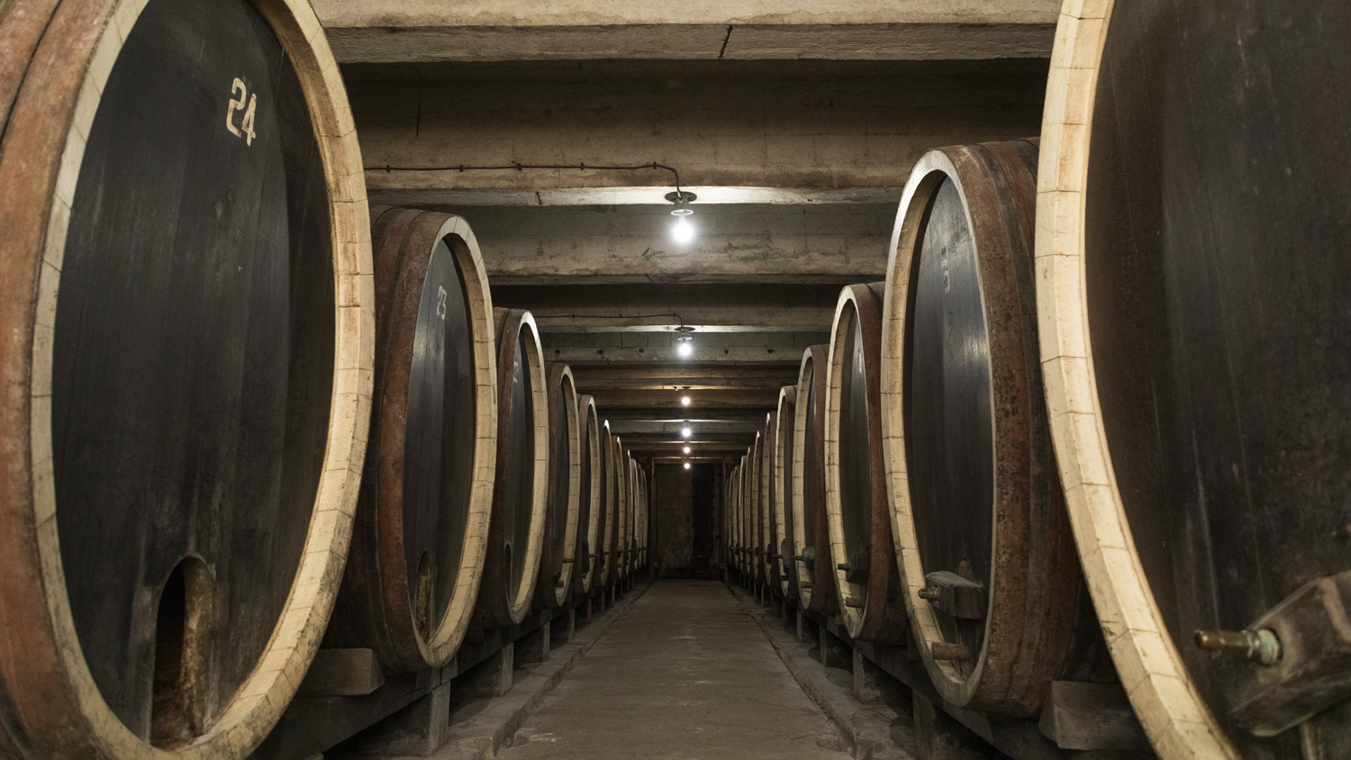 Majdanpek: Lokalni turistički poslenici dobiće novac od EU za razvoj svojih kapaciteta 4