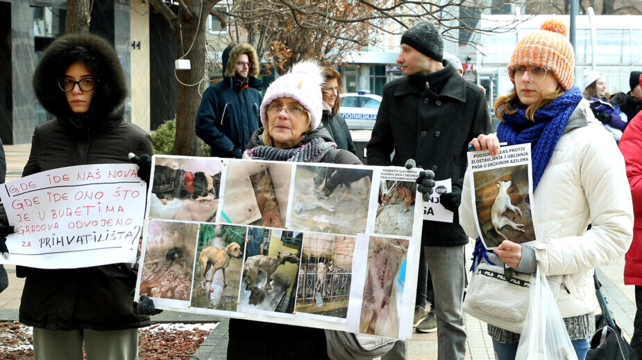 Udruženja: Ministarstvo pristalo na sastanak nakon peticije od 40.000 potpisa protiv ubijanja pasa 2