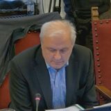 Bujošević i Klanšček pred Odborom za kulturu i informisanje Skupštine 1