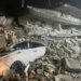U Turskoj i Siriji prema novom bilansu 2.724 mrtvih i 13.580 povređenih: Nesreća koja dobija epitet katastrofe (VIDEO) 6