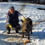 "Obožava kad sviram frulu, imam utisak da hoće da zapeva": Bivši lovac iz Bora pripitomio divlju svinju 3