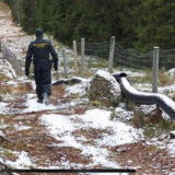 Finska počela podizanje ograde na granici sa Rusijom 9