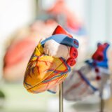 Ove namirnice čuvaju zdravlje srca 5