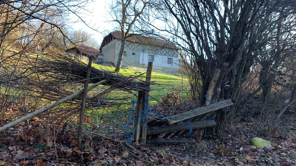 “Molim boga da umrem da se smirim, ne mogu više ovako”: Muke baka Perse iz sela pored Zaječara 7 “Molim boga da umrem da se smirim, ne mogu više ovako”: Muke baka Perse iz sela pored Zaječara 7