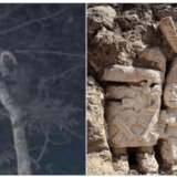 Meksički predsednik podelio fotografiju na kojoj tvrdi da vidi vilenjaka (FOTO) 1