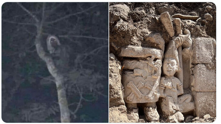 Meksički predsednik podelio fotografiju na kojoj tvrdi da vidi vilenjaka (FOTO) 1