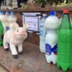 Proizvođači mleka sutra protestuju u Šapcu i Mrčajevcima 19