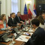 Marina Raguš zatvorila sednicu Odbora za spoljne poslove za javnost 2