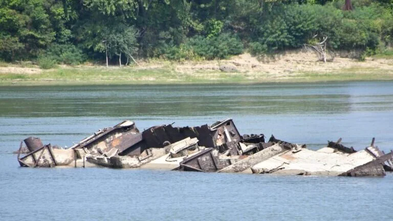 Negotin: Nadzor nad vađenjem potpoljene nemačke flote iz Dunava kod Prahova ugovorom poveren konzorcijumu tri firme 1