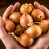 Kada čujete šta se dešava sa crnim lukom u frižideru, nikada ga nećete čuvati tamo 8