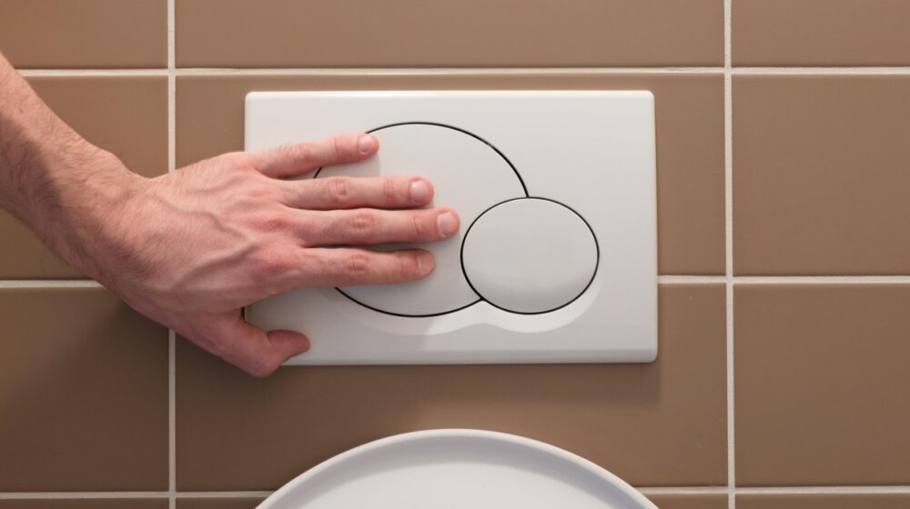 U toaletu stiskate manje ili veće dugme? Razlika je ogromna, pogledajte brojku na kraju teksta 1